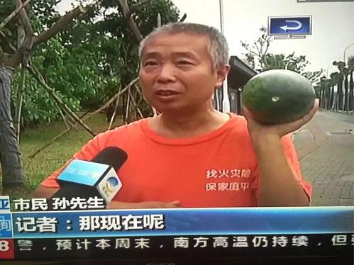 热门事件-吃瓜网,近期热门事件深度解析